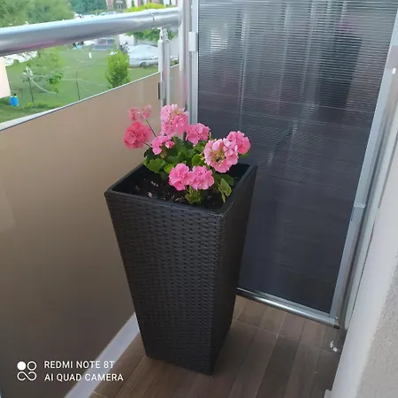 света марина Guest house *
